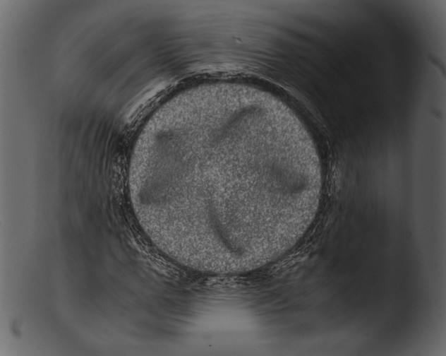 X0000103270967200809261158