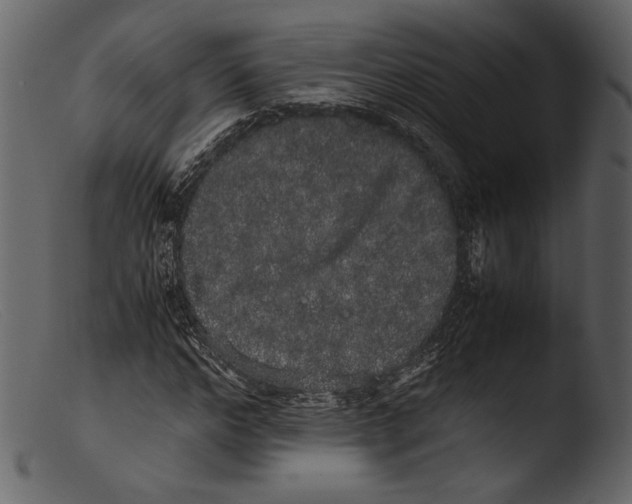 X0000103270968200809261158