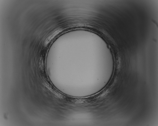 X0000103270969200809261158