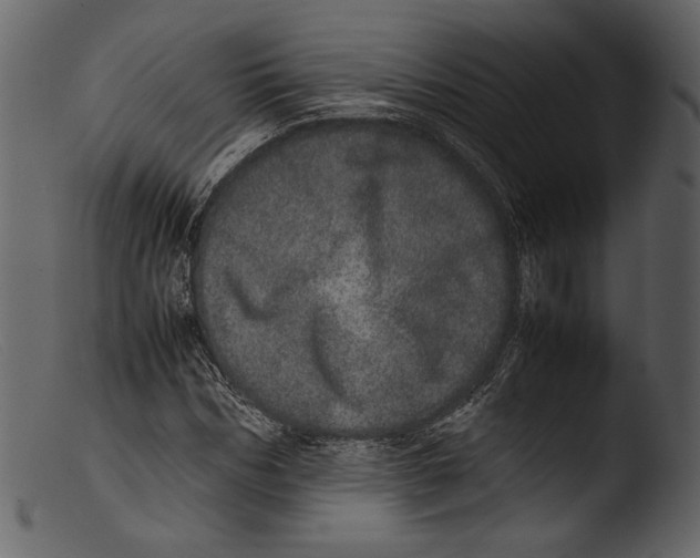 X0000103270970200809261158