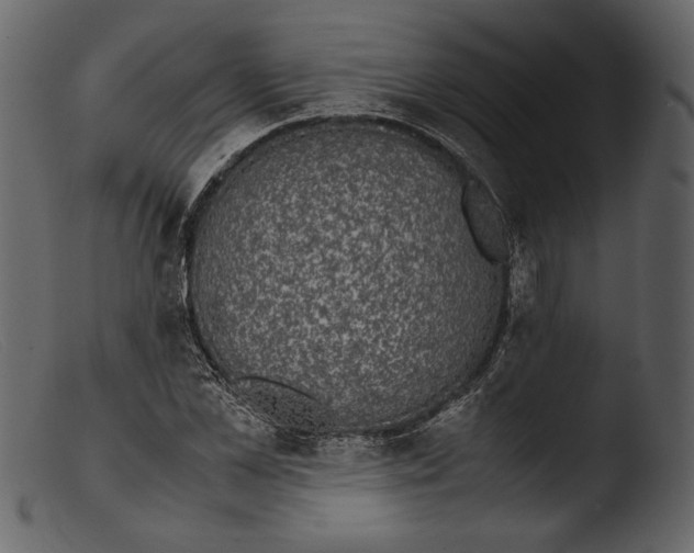 X0000103270973200809261158
