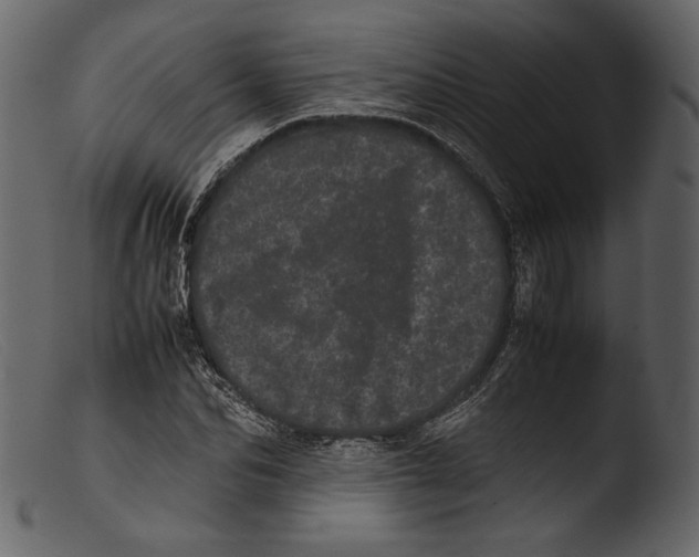 X0000103270974200809261158