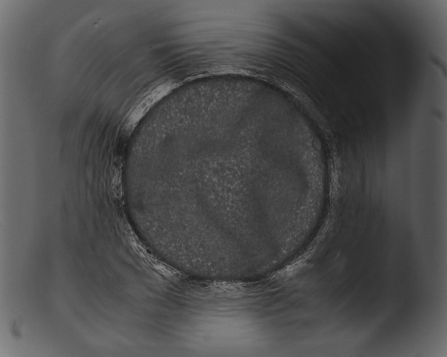 X0000103270977200809261158