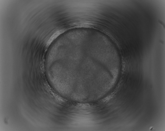 X0000103270978200809261158