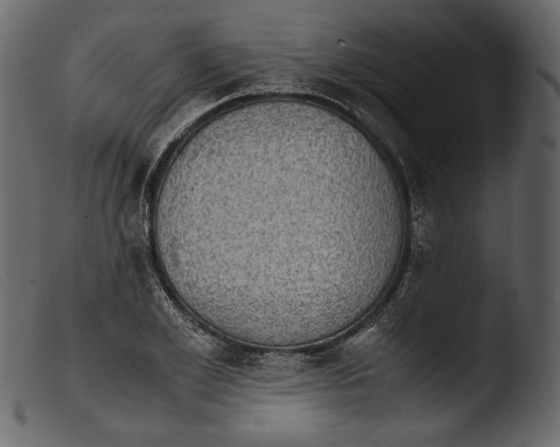 X0000103270981200809261158