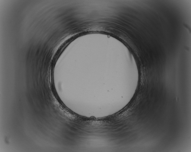 X0000103270984200809261158