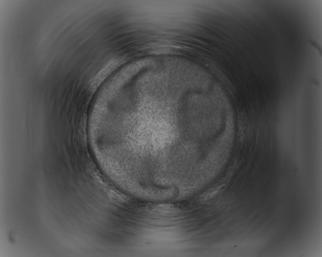 X0000103270986200809261158