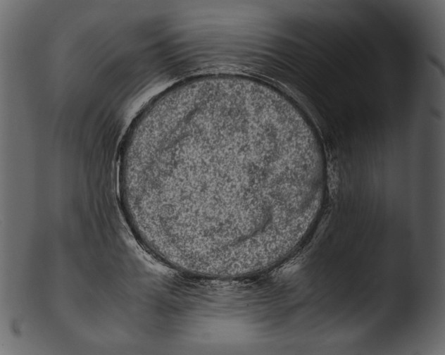 X0000103270987200809261158