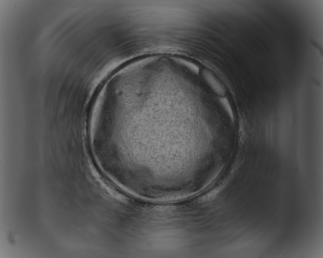 X0000103270989200809261158