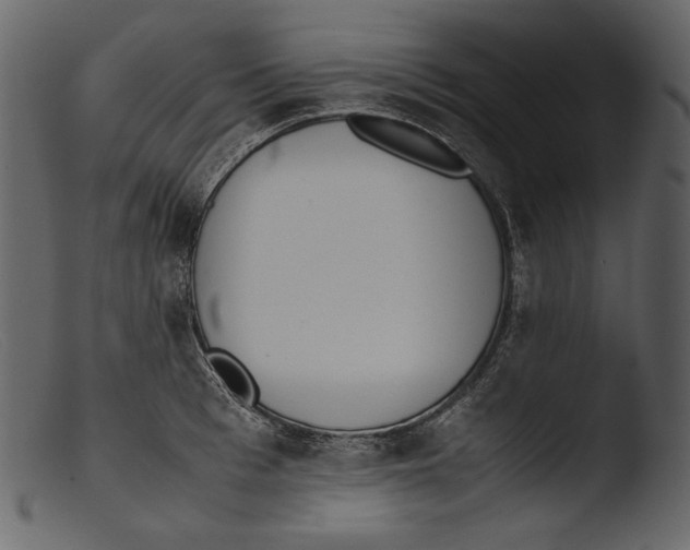 X0000103270993200809261158
