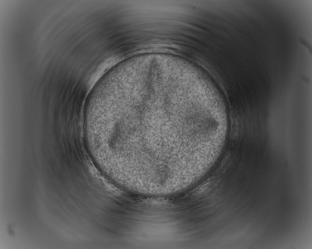 X0000103270994200809261158