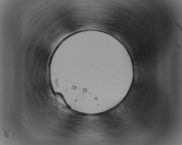 X0000103270996200809261158