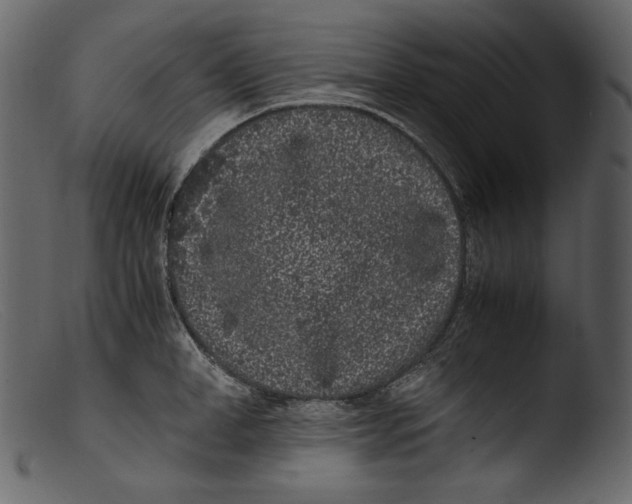 X0000103270998200809261158