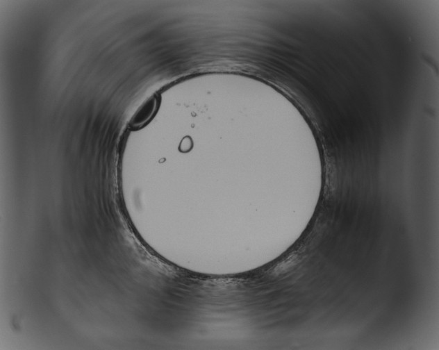 X0000103271000200809261158