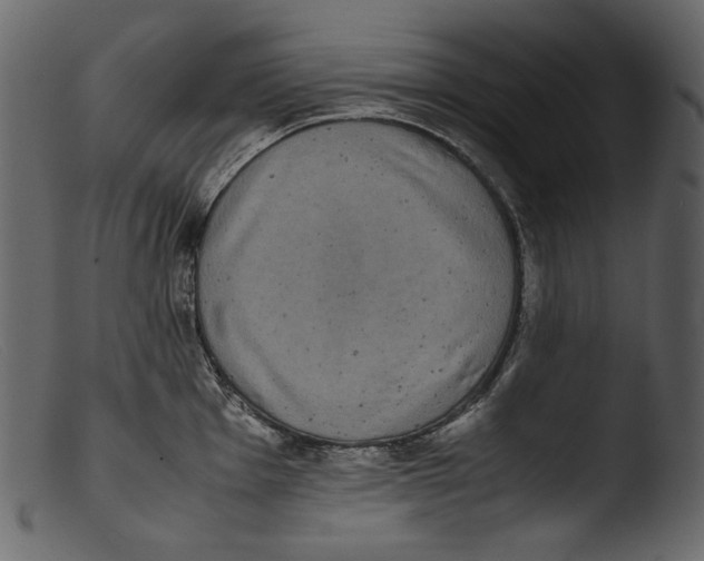 X0000103271001200809261158