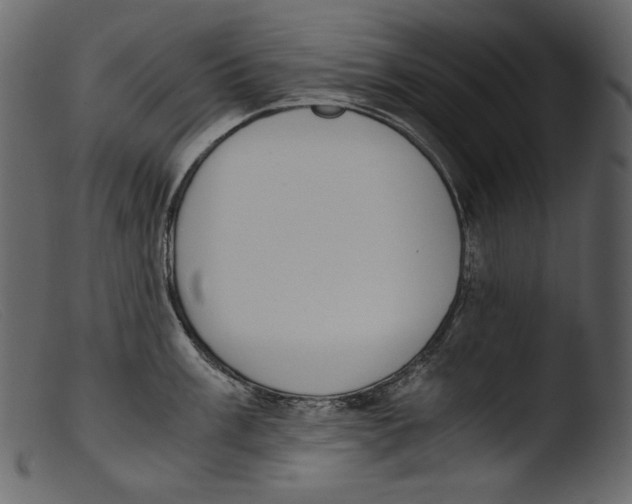 X0000103271003200809261158