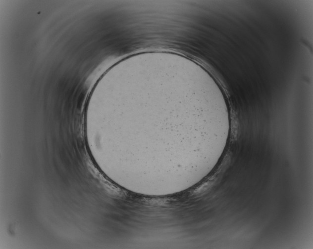 X0000103271004200809261158