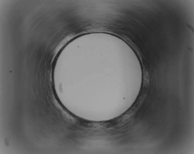 X0000103271005200809261158