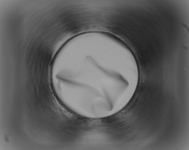 X0000103271006200809261158