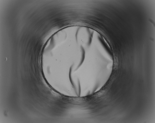 X0000103271007200809261158