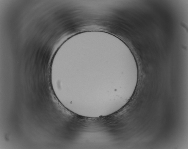 X0000103271008200809261158