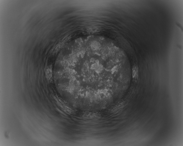 X0000103271011200809261157