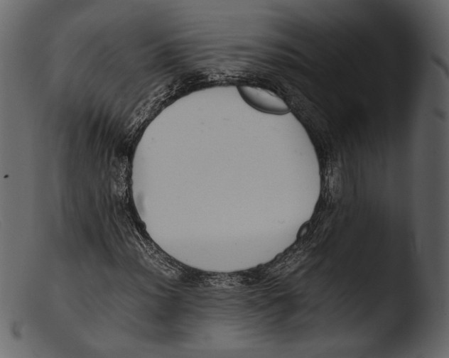 X0000103271012200809261157