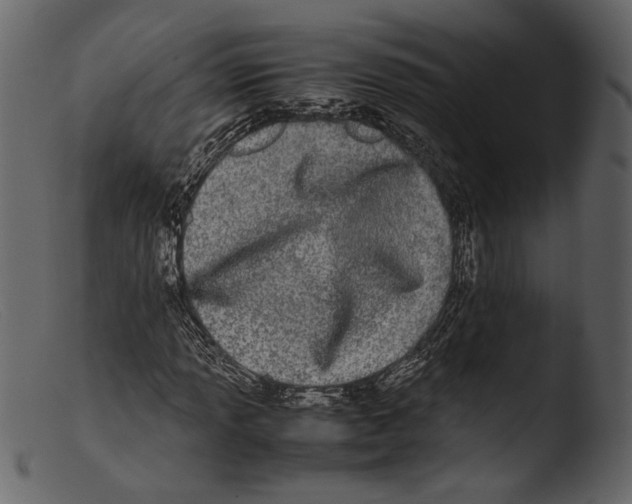 X0000103271013200809261157