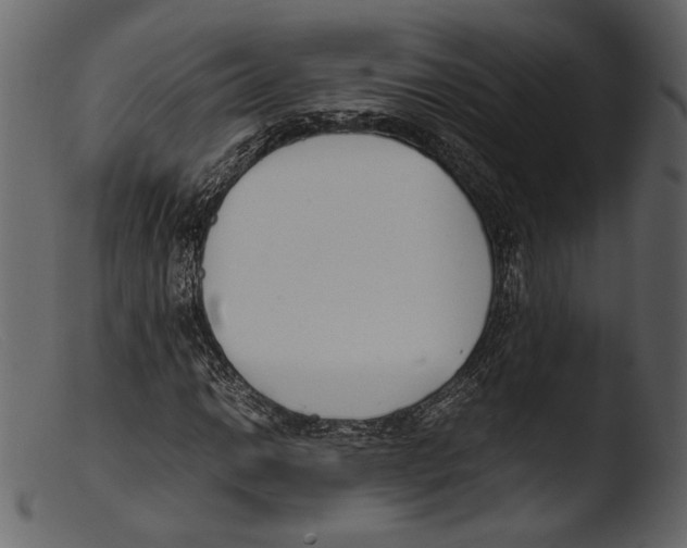 X0000103271014200809261157