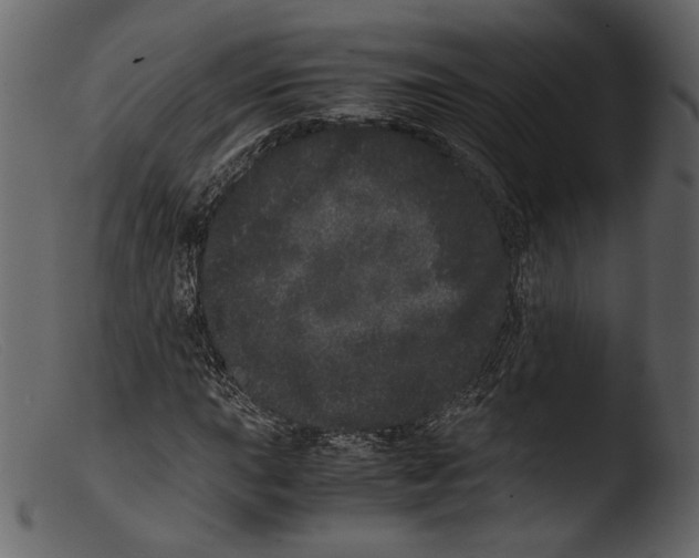 X0000103271015200809261157