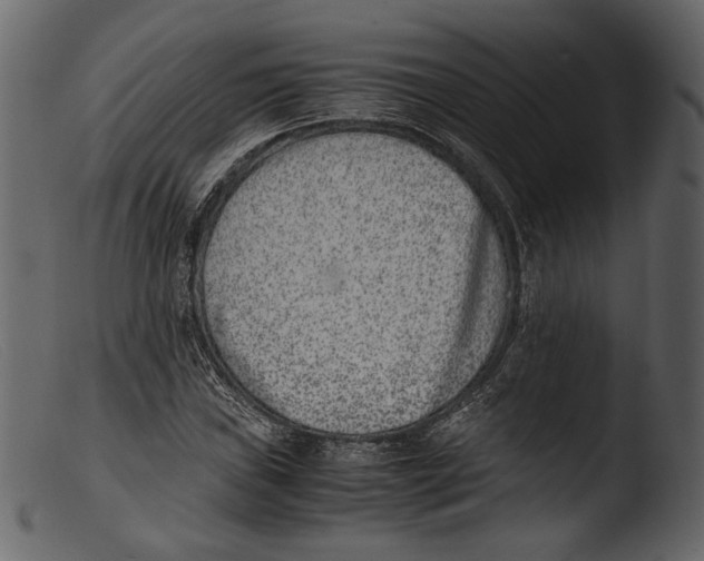 X0000103271019200809261157