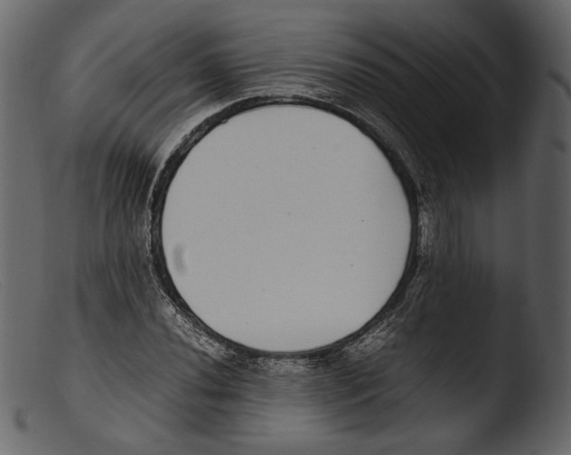 X0000103271020200809261157