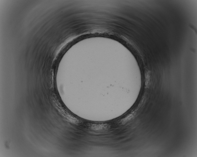 X0000103271021200809261157