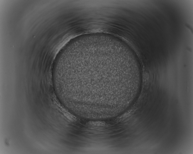 X0000103271023200809261157