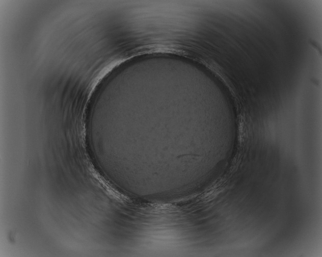 X0000103271024200809261157