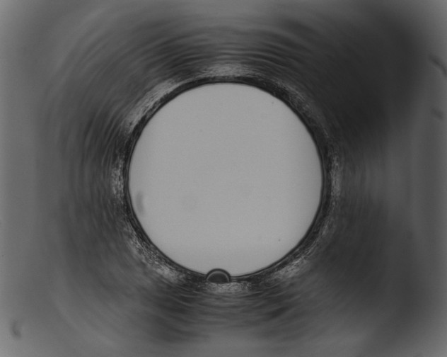 X0000103271025200809261157