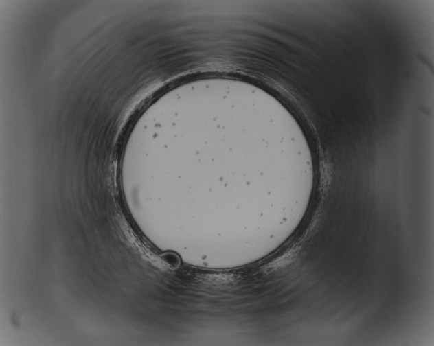 X0000103271029200809261157