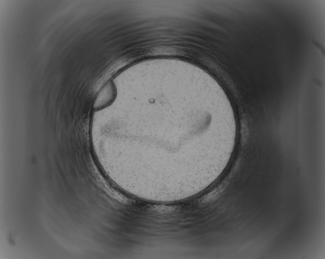 X0000103271033200809261157