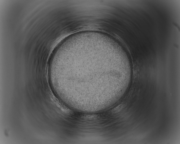 X0000103271035200809261157