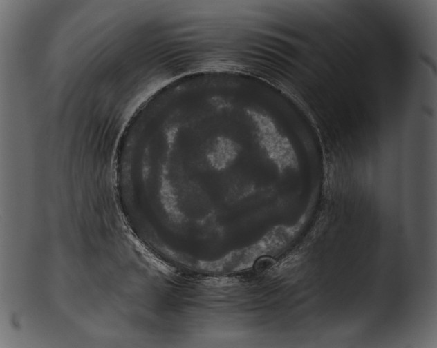 X0000103271037200809261158