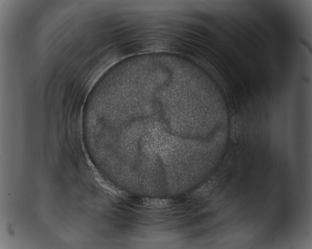 X0000103271039200809261158