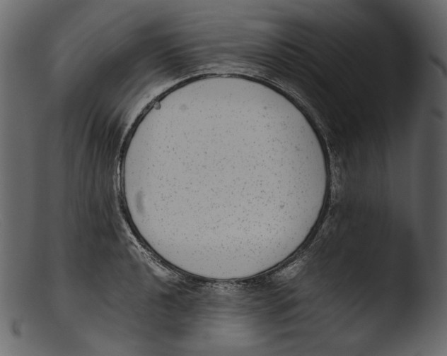X0000103271040200809261158