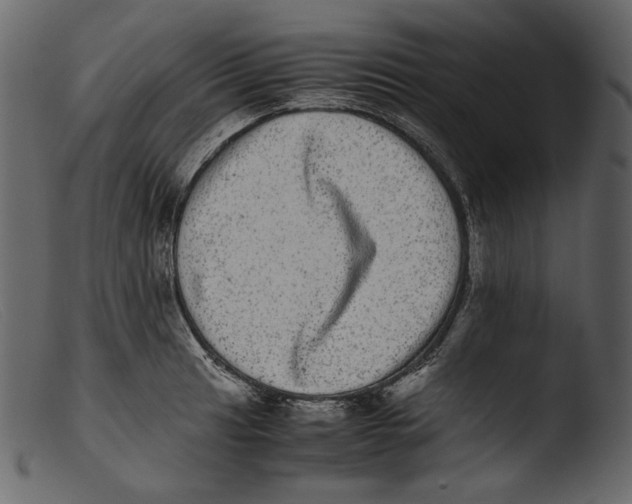 X0000103271041200809261158