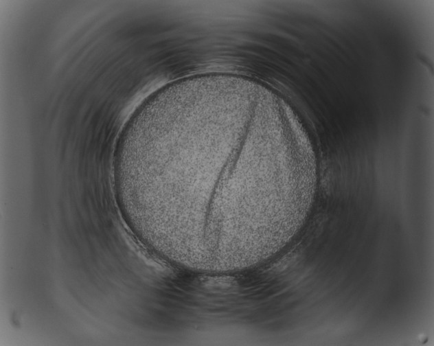 X0000103271043200809261158