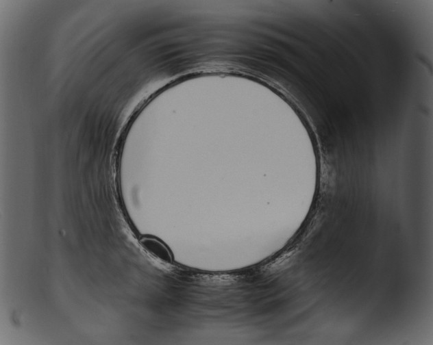 X0000103271045200809261158