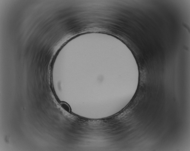 X0000103271046200809261158