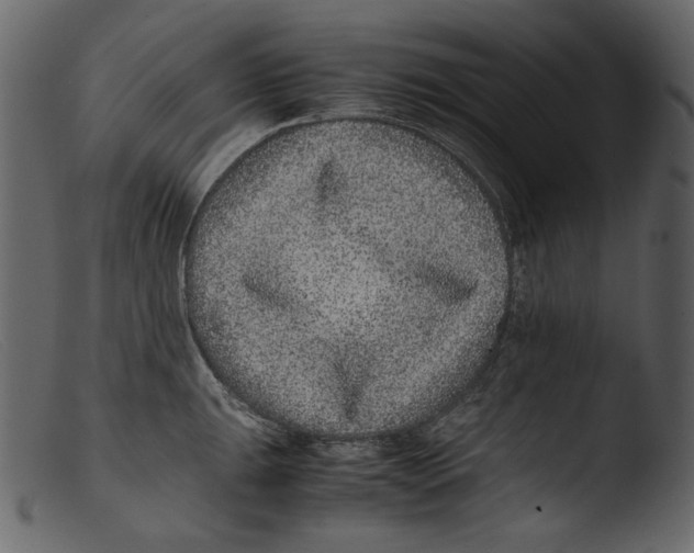 X0000103271047200809261158