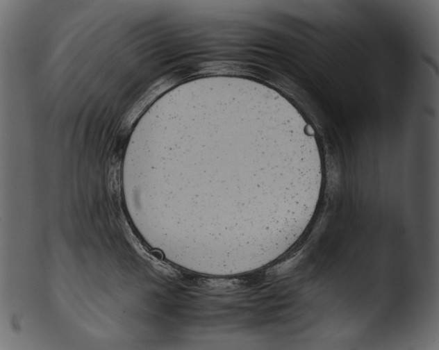 X0000103271049200809261158