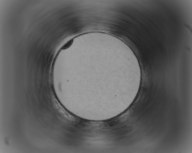 X0000103271052200809261158