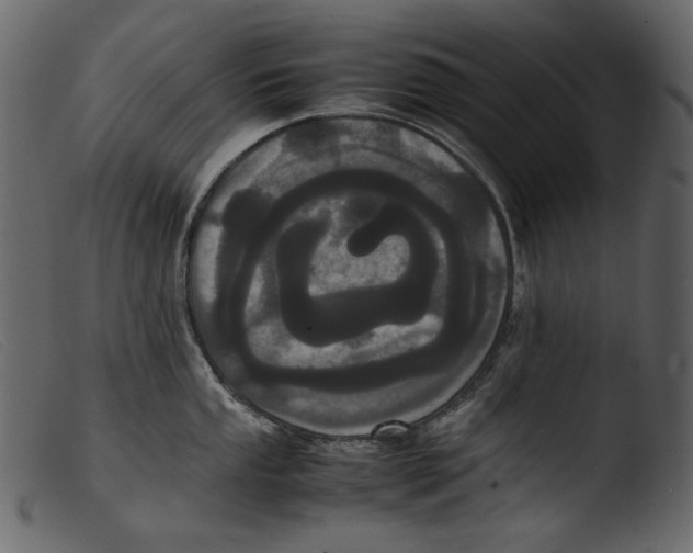 X0000103271053200809261158